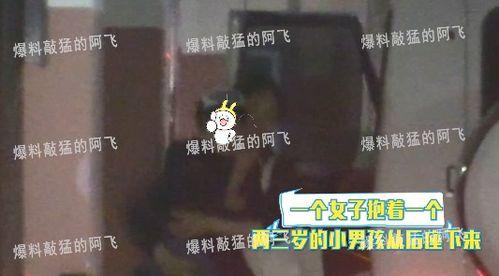 眼镜爆料莫三炮的视频